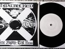 SHIPWRECKED - Artic Nights 7