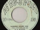 B.B. SEATON Nobody Knows You ROOTS REGGAE SHAKA  7” ??