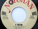 RAY RUFF & CHECKMATES (I'm Qualified/A Dream) '63 Norman ROCKABILLY/TEEN   HEAR