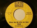 ADAM / ON MALA  EVE /WHERE HAS MY GIRL GONE /EVE -PROMO PHENOMENAL BYRDS SOUND