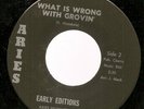 jazz funk soul 45 Early Editions What Is Wrong With Groovin' Gilles Peterson