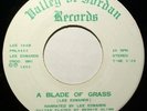 PRIVATE 7'' HIPPIE CULT COSMIC FOLK/LOUNGE Christian Con Man 