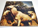 Interpol - Our Love To Admire-LP/Vinyl/Record