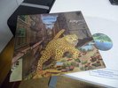 NUCLEUS ALLEYCAT 1975 MINT LOOKS UNPLAYED ARCHIV IAN CARR UK 1st