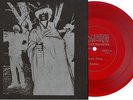 DISTORTED SAMURAIS/PIPYU flexi JAPAN PUNK STALIN GISM LIP CREAM TYPHUS KBD GAUZE