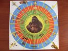 Pedro Santos krishnanda LP Brazil exotica rare & excellent