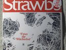 Strawbs From the Witchwood A & M 4304 STILL SEALED
