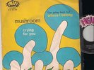 MUSHROOM WHERE I BELONG + CRYING FOR YOU, DUTCH HARD PSYCHO FUZZ, ITALIAN ISSUE