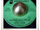 Young Jessie You Were Meant For Me R&B NORTHERN SOUL MOD HEAR 45