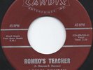 LANNY DUNCAN Romeo's Teacher CANDIX 45 Teen Rocker ((HEAR))