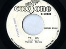 Voice Roys 