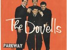 DOVELLS--ALTERNATE RARER PICTURE SLEEVE ONLY--(WILDWOOD DAYS)--PS--PIC--SLV