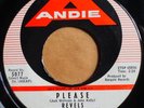 * REVELS Please/Two Little Monkeys RARE DOO WOP R&B Andie 45 HEAR