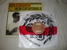 Anthony Raneri - New Cathedrals LP (Red Stripe +SP, ?/50) RARE VINYL BAYSIDE
