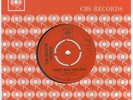 Rockin Vickers I dont need your kind / Dandy