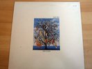 TALK TALK - SPIRIT OF EDEN. Rare UK original press