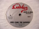 Earwigs rock 45 7