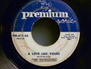 THE TRUELOVES a love like yours-SUPER RARE-PREMIUM 45 Doo Wop