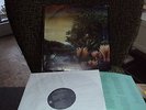 FLEETWOOD MAC TANGO IN THE NIGHT LP + INSERT MADE IN MEXICO BIG LOVE LITTLE LIES