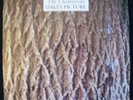 THE CHAMELEONS,DALIS PICTURE,LP,MADCHESTER,1993,INDIE,ROCK,POP,C86,IMAGINARY