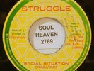 LIBERATORS Racial Situation STRUGGLE Records Reggae Killa Roots 45 Soundclip 