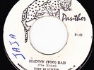 THE SLICKERS - JOHNNY TOO BAD on the PANTHER   label  ??