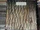 The Chameleons Dali's Picture lp vinyl mark burgess