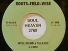 D. PAYNE Intelligently Selassie ROOTS-FIELD-WISE Records Reggae 45 Soundclip 