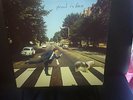 PAUL MCCARTNEY PAUL IS LIVE (2LP)