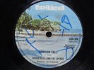BABYLON  FALL  /  JUNIOR  ROSS & THE SPEARS / orig CARIBBEAN 7 in  1976