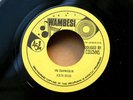 KEN BOB-In Danger-/JA ’84 WAMBESI (TWDV 545) ORIG heavy roots 7” EX