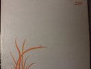 BARBARA BARROW & MICHAEL SMITH - ZEN LP rare private folk JEF FISK loner psych
