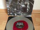 DISMA - The vault of membros 12