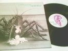 BIRTH CONTROL-Operation (foc schriftzug auf label)  TOP