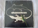 RARE VINTAGE 1981 YANNI produced CHAMELEON LP Record private Platinum label more