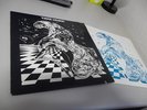 THEE IMAGE SAME LP IN MINT US 1975 MEGA RAAAR