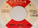 Northern Soul  -  Frankie And The Classicals     LISTEN