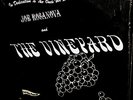 RARE  1968 ACID ARCHIVES = JOE ROSANOVA & THE VINEYARD = ROCK & PSYCH 