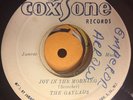 THE GAYLADS – JOY IN THE MORNING / IF YOU KNEW – COXSONE 70s