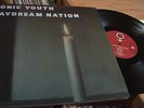 SONIC YOUTH DAYDREAM NATION VINYL LP RECORD NICE CONDITION