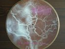 KATATONIA - FOR FUNERALS TO COME Pic.LP/Opeth/Anathema/In The Woods/Ulver/