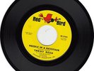 TAWNY REED Needle In A Haystack (Red Bird 10-044) USA 1965 45 M-