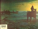 FOALS - Holy Fire - LP box