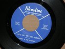 LARRY LOAFERS LETS GO TO THE BEACH SHURFINE orig GARAGE ROCK SURF PSYCH NM 7