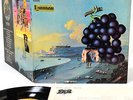 MOBY GRAPE wow JAPAN orig '69 LP rare  [FREE P+P]