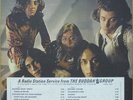 FLAMIN GROOVIES US Psych New Wave Pop Signed Roy Loney FLAMINGO Promo LP Pink