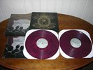 FALL OUT BOY From Under The Cork Tree RED LP SEALED_blink 182 green day cd 7
