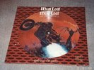 Meatloaf Bat Out Of Hell Picture Disc LP Record New SEALED
