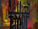 James Taylor: The Best Of - LP Vinyl 33 Rpm