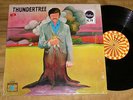 Excellent 1970 MN Psych Rock LP - THUNDERTREE - Roulette  BILLY HALLQUIST